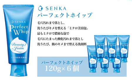センカ　パーフェクトホイップ　120g　6個 洗顔料 洗顔 保湿 日本製