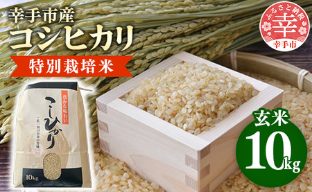 有機肥料100％　埼玉県幸手市産特別栽培コシヒカリ　玄米10kg
