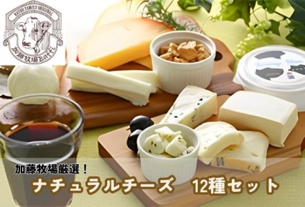 チーズ 加藤牧場 12種 ナチュラルチーズセット