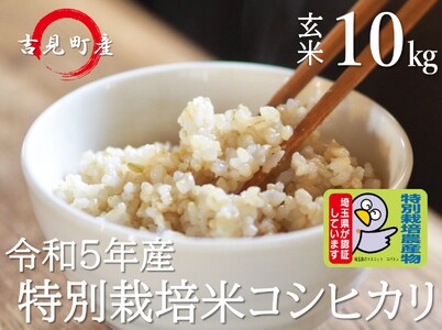 [令和５年産]埼玉県比企郡吉見町産 特別栽培米コシヒカリ 【玄米】 10㎏