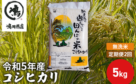 【定期2ヶ月】新米 コシヒカリ 乾式無洗米 5kg 令和5年産