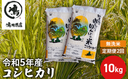 【定期2ヶ月】新米 コシヒカリ 乾式無洗米 10kg（5kg×2）令和5年産