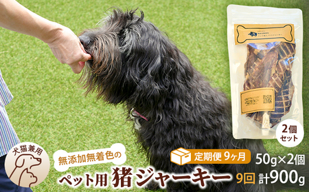 （９回定期便）千葉県で獲れた猪ペット用ジャーキー(2個セット）１００g