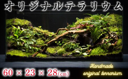 オリジナル テラリウム サイズ 60×23×28 手作り ハンドメイド 観賞用 千葉県 銚子市