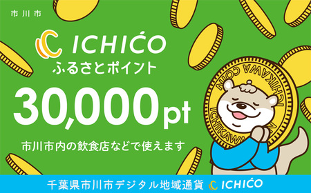 デジタル地域通貨ICHICOふるさとポイント30,000pt【12203-0219】