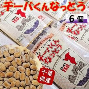 千葉県誕生150周年記念「大きなお豆のチーバくんなっとう」90g×6個入り【配送不可地域：離島】【1488705】