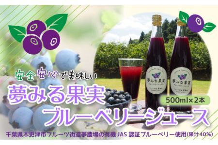＜有機栽培ブルーベリー使用＞夢みる果実ブルーベリージュース（果汁40％）500ml×2本