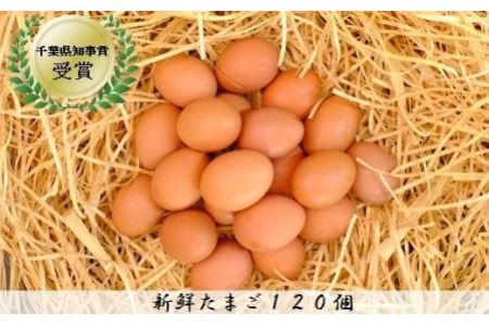 【120個】美味しい産みたて朝採り新鮮たまご(手集卵)ミネラルエッグ