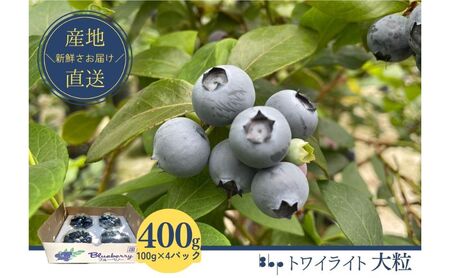 【栽培期間中農薬不使用】フレッシュブルーベリー（トワイライト大粒　100g×4）