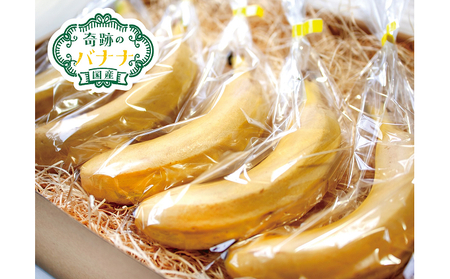 皮ごと食べられる国産無農薬バナナ「奇跡のバナナ」