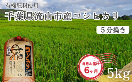 コシヒカリ 米 5kg 有機肥料 5分搗き 定期便6ヶ月