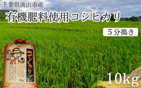 コシヒカリ 米 10kg 有機肥料 5分搗き 単発