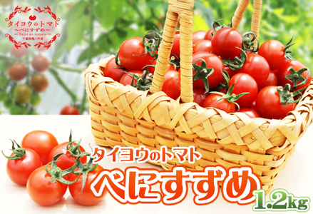 【匠の一粒】タイヨウのトマト『べにすずめ』 1.2kg　[0010-0320]