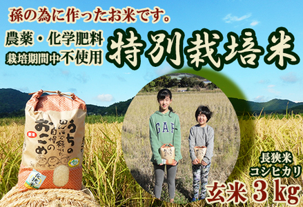孫のために作りました！田代農園の『特別栽培米』 玄米 ３kg　[0010-0159]