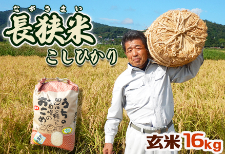 田代農園『長狭米コシヒカリ』【玄米】16kg [0021-0001]