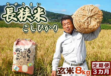 田代農園『長狭米コシヒカリ』【玄米】８kg ×３カ月 [0033-0005]