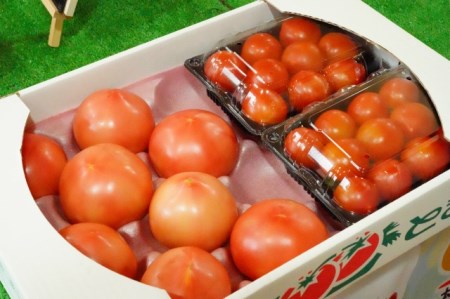 【ファームこがねや】大玉&フルーツトマトのトマトづくしセット