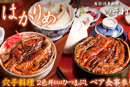 寿司・活魚料理 いそね　はかりめ（穴子）「２色丼」又は「ひつまぶし」ペア食事券