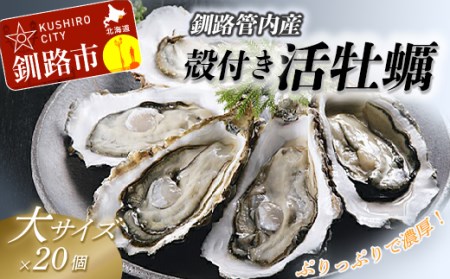 【ぷりっぷりで濃厚！】釧路管内産【活】牡蠣（大）20個 ふるさと納税 牡蠣 F4F-0382