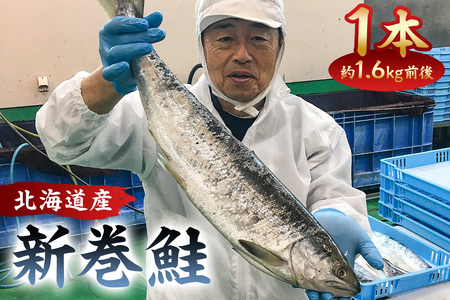 新巻鮭1本（1.6kg前後・北海道産） mi0012-0089