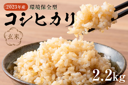 【2023年産】環境保全型コシヒカリ 玄米　2.2kg mi0036-0007