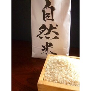 【令和5年産】自然米 (白米3.8kg)【配送不可地域：離島・沖縄県】【1066041】