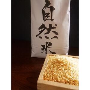 【令和5年産】自然米(玄米4kg)【配送不可地域：離島・沖縄県】【1066042】