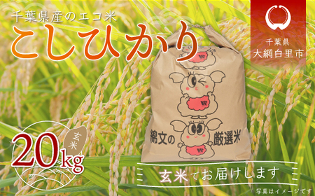 令和5年産 千葉県産エコ米「コシヒカリ」玄米20kg（20kg×1袋)  A008