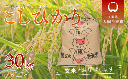 令和5年産 千葉県産エコ米「コシヒカリ」玄米30kg（30kg×1袋） A015