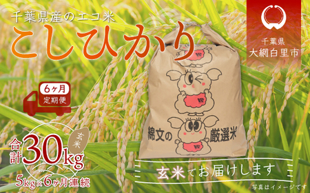 ＜6ヶ月定期便＞千葉県産エコ米「コシヒカリ」玄米5kg×6ヶ月連続 計30kg A019