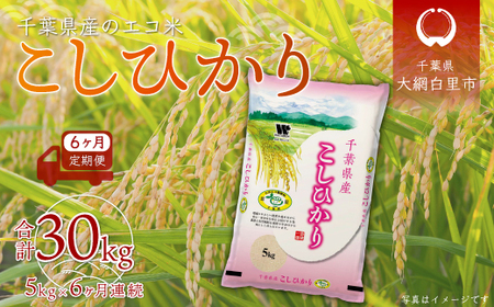 ＜6ヶ月定期便＞千葉県産エコ米「コシヒカリ」5kg×6ヶ月連続 計30kg A023
