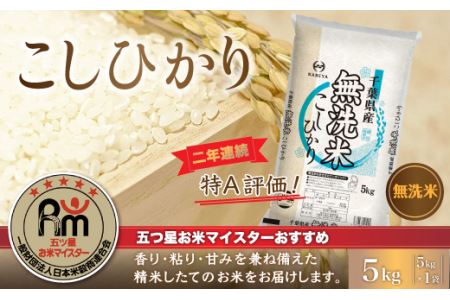 令和5年産 2年連続特A評価!千葉県産コシヒカリ5kg無洗米（5kg×1袋） E008