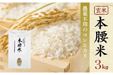 本腰米3kg 玄米 千葉県産コシヒカリ 農薬不使用