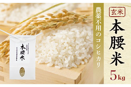 本腰米5kg 玄米 千葉県産コシヒカリ 農薬不使用