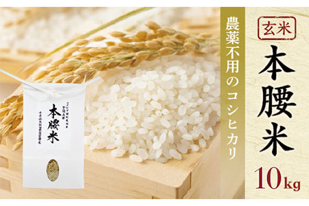 本腰米10kg 玄米 千葉県産コシヒカリ 農薬不使用