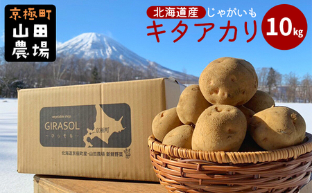 北海道産じゃがいも〈キタアカリ〉10kg［京極町］ 野菜 キタアカリ じゃがいも 北海道 10kg 料理