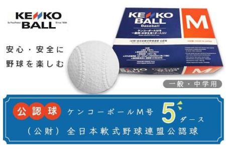 N10501（公財）全日本軟式野球連盟公認球　ケンコーボールＭ号（5ダース）