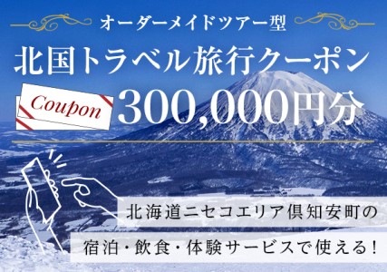 【北海道ツアー】旅行クーポン券 ニセコ 倶知安町 オーダーメイドツアー型（900，000円分）事前予約 トラベルクーポン