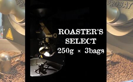 ロースターズセレクト 250g×3種類のおすすめスペシャルティコーヒー ドリンク コーヒー スペシャルティコーヒー