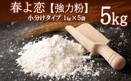 北海道共和産【春よ恋】強力粉1kg×5袋(計5kg)