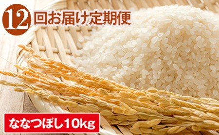米 定期便 12ヶ月 ななつぼし 10kg JAきょうわ米 お米 白米