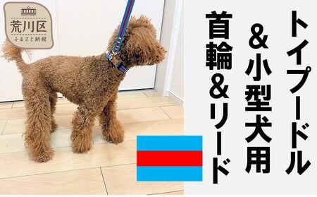 トイプードル及び小型犬用カラー（首輪）＆リード(カラー：水色・赤・水色)【001-005】