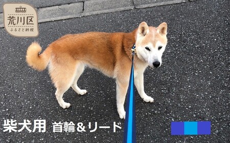 柴犬用カラー（首輪）＆リード(カラー：紺・水色・紺)【001-009】