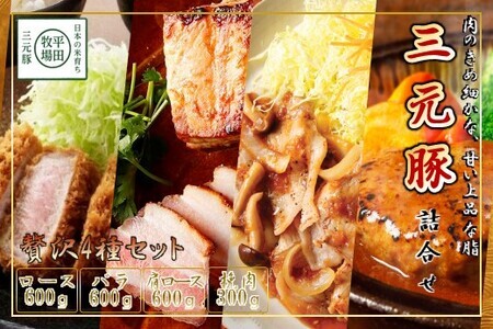 【FN】日本の米育ち平田牧場三元豚ブロック･挽肉詰合せ（４種）