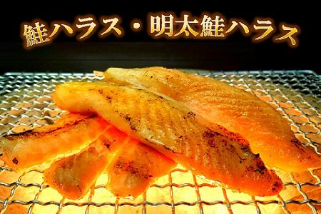 【FN】鮭ハラス・明太鮭ハラス