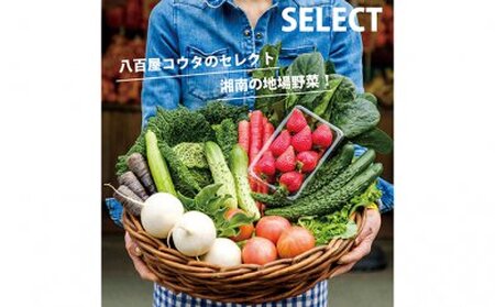 【平塚よりお届け】湘南産　地場野菜・フルーツ　詰合せ