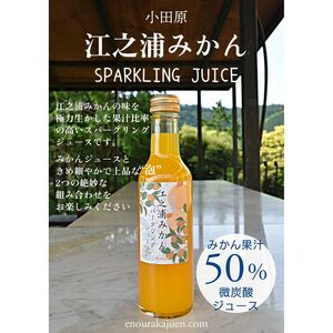 小田原産江之浦みかんスパークリングジュース果汁５０％２００ml３０本