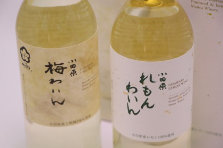 城下町小田原の飲み比べワインAセット(2本セット)