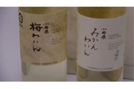 城下町小田原の飲み比べワインBセット（2本セット)