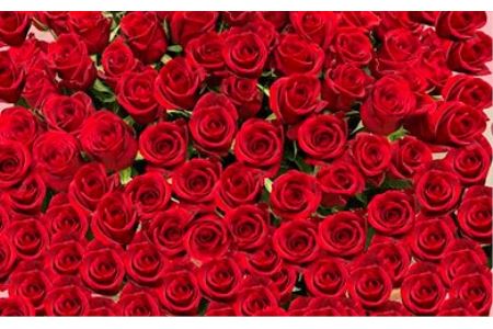 《記念日に届くお花シリーズ》赤バラの花束 365本「あなたが毎日恋しい」※配達エリア限定